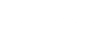 Salt & Sand Co. Logo